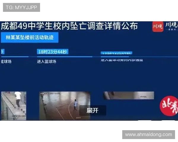 深入分析成都乒乓球队控制打法的战术特点与应用技巧